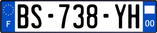 BS-738-YH