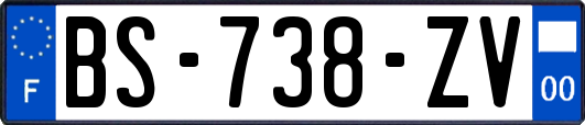 BS-738-ZV