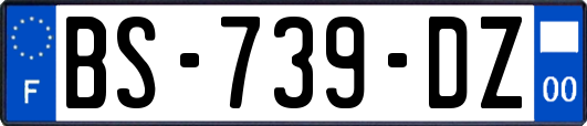 BS-739-DZ