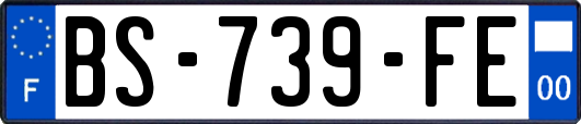 BS-739-FE