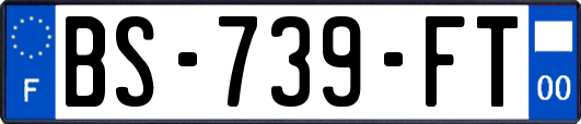 BS-739-FT