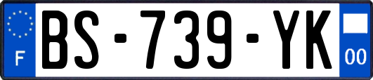 BS-739-YK