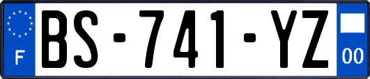 BS-741-YZ