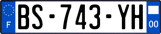 BS-743-YH