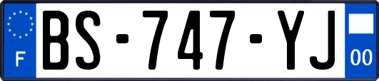 BS-747-YJ