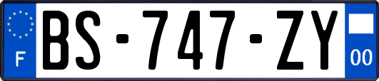 BS-747-ZY