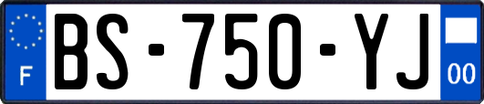 BS-750-YJ