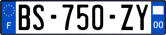 BS-750-ZY