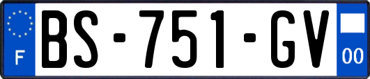 BS-751-GV