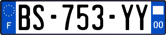 BS-753-YY