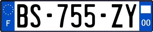 BS-755-ZY