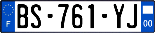 BS-761-YJ