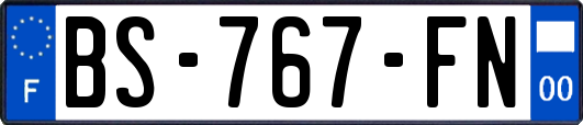 BS-767-FN