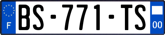BS-771-TS