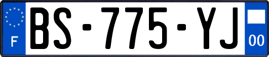 BS-775-YJ