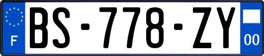 BS-778-ZY