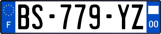 BS-779-YZ