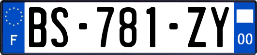 BS-781-ZY
