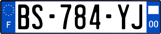 BS-784-YJ
