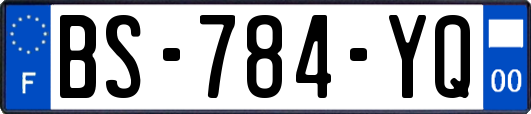 BS-784-YQ