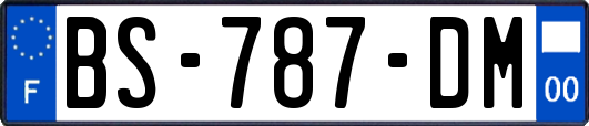 BS-787-DM