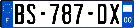 BS-787-DX