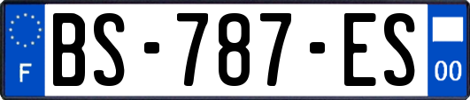 BS-787-ES
