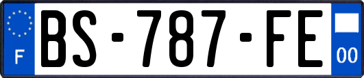 BS-787-FE