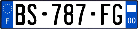 BS-787-FG