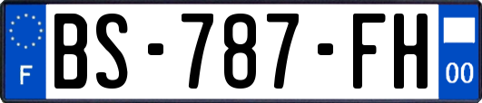 BS-787-FH