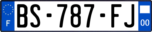 BS-787-FJ