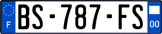 BS-787-FS