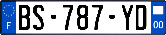 BS-787-YD