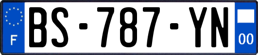 BS-787-YN