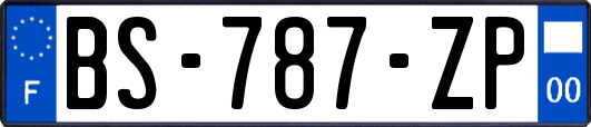 BS-787-ZP
