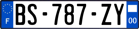 BS-787-ZY