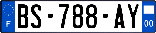 BS-788-AY