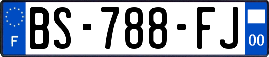 BS-788-FJ