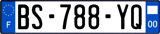 BS-788-YQ