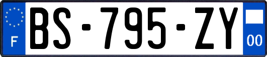 BS-795-ZY