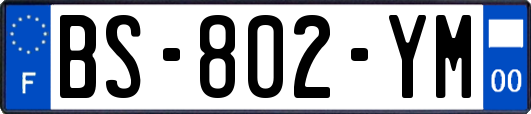BS-802-YM