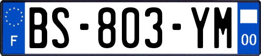 BS-803-YM