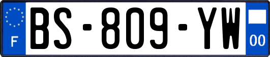 BS-809-YW