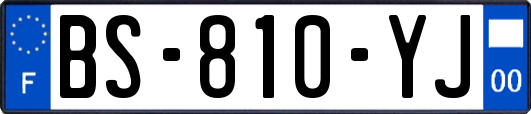 BS-810-YJ