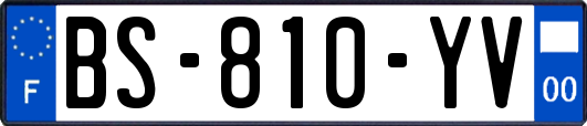BS-810-YV