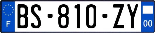 BS-810-ZY