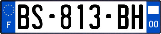 BS-813-BH