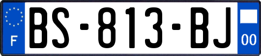 BS-813-BJ