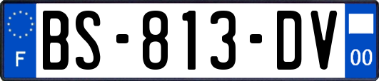 BS-813-DV