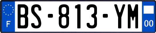 BS-813-YM